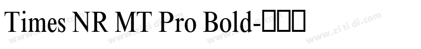 Times NR MT Pro Bold字体转换